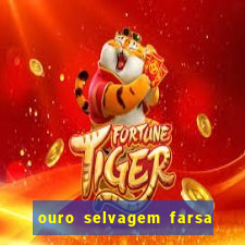 ouro selvagem farsa ouro selvagem o que aconteceu